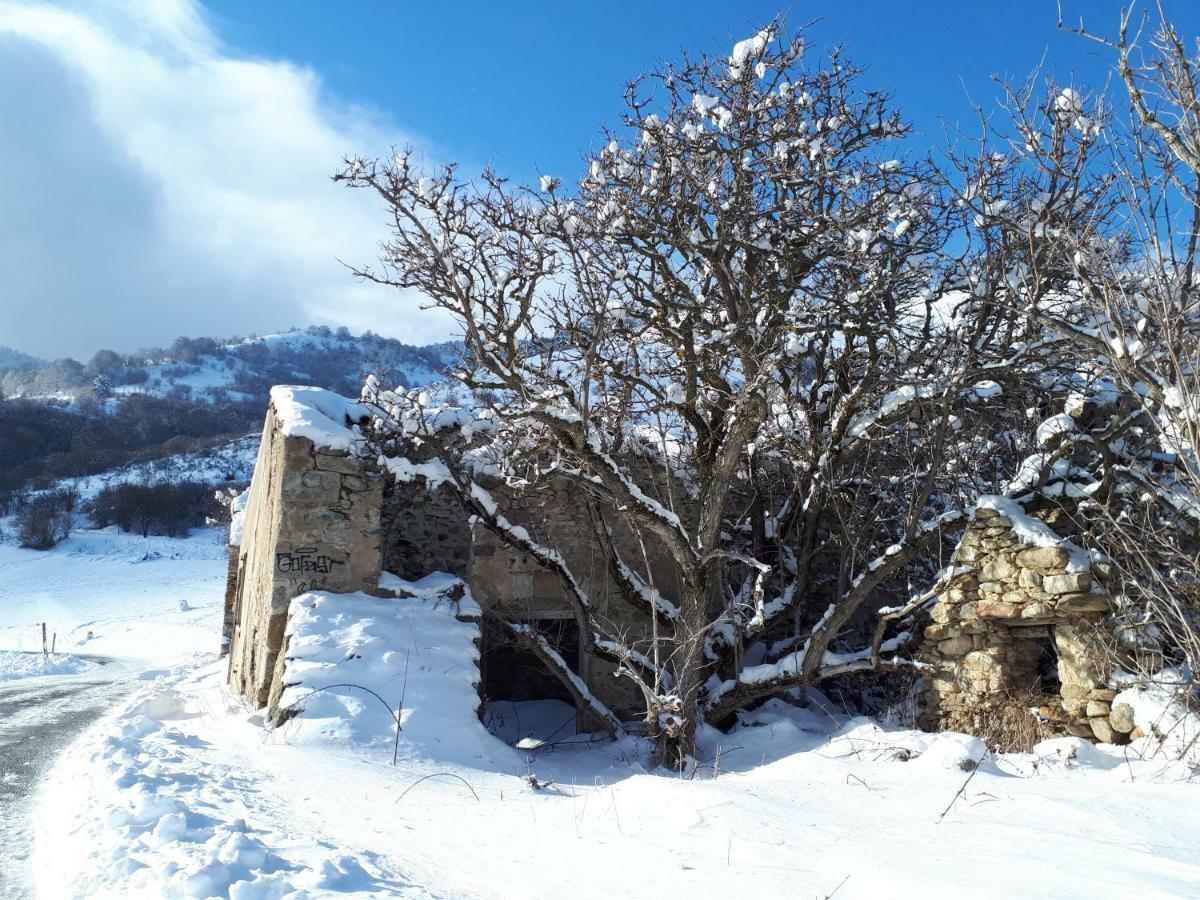 Chalet Mont Canigo Villa Corneilla-de-Conflent Eksteriør bilde